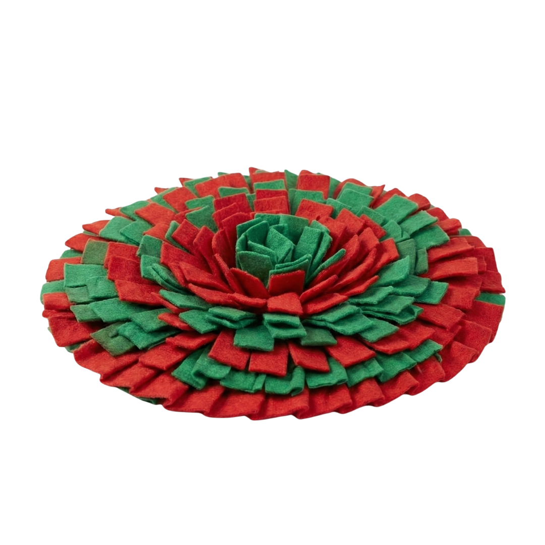 Flokbox: Köpeğinizin Her Ay Kapıda Beklediği "Mutluluk Kutusu"