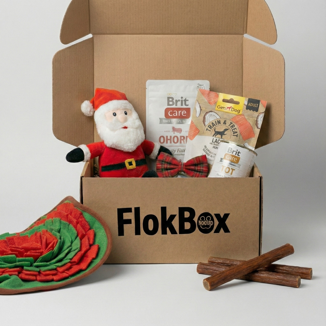 Flokbox: Köpeğinizin Her Ay Kapıda Beklediği "Mutluluk Kutusu"